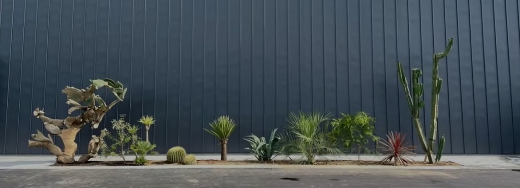 外構施工の植栽ライン